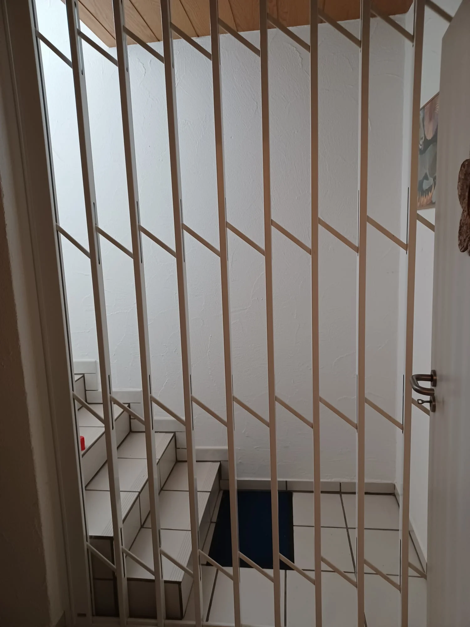 Sicherheitsgitter Kellerabgang